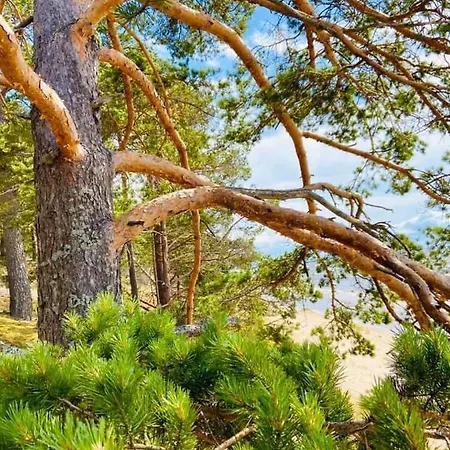 بيت ضيافة Marika Centre *