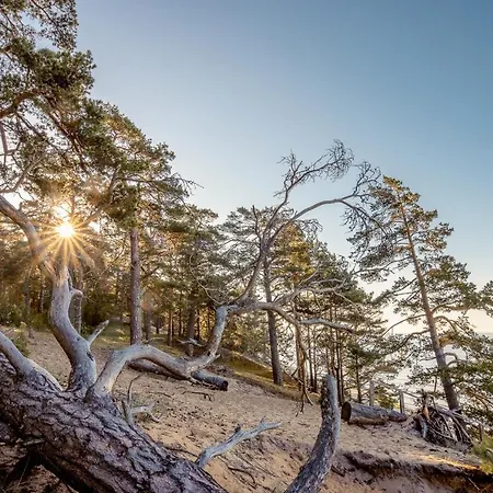 Marika Centre * Alajõe