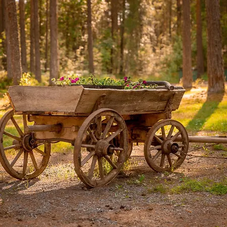 Gasthof Marika Centre