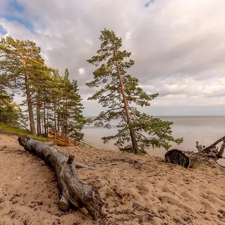 بيت ضيافة Marika Centre Alajõe