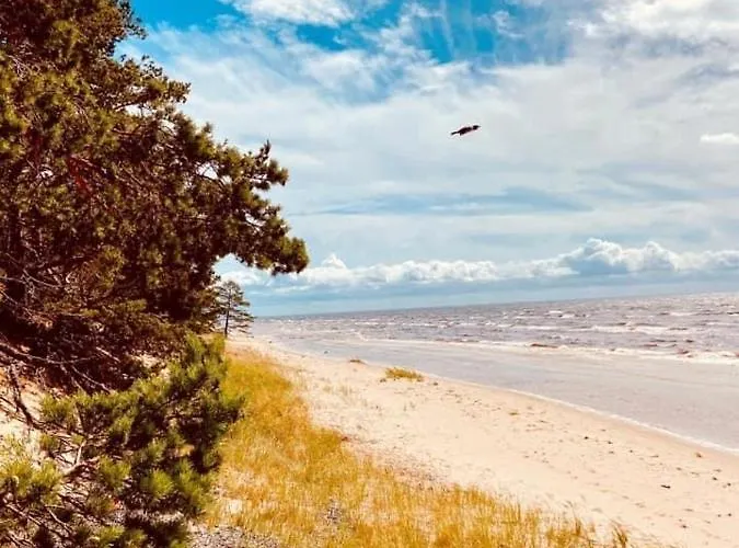 게스트하우스 Marika Centre *