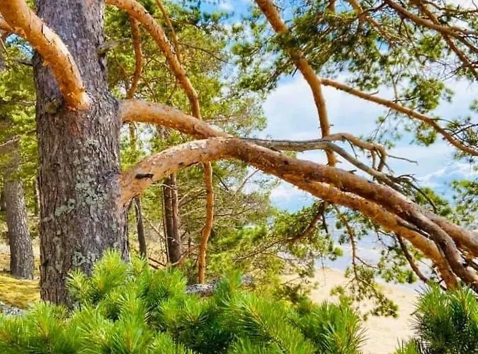 Guest house Marika Centre *