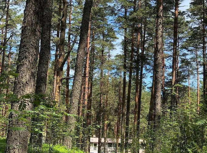 게스트하우스 Marika Centre