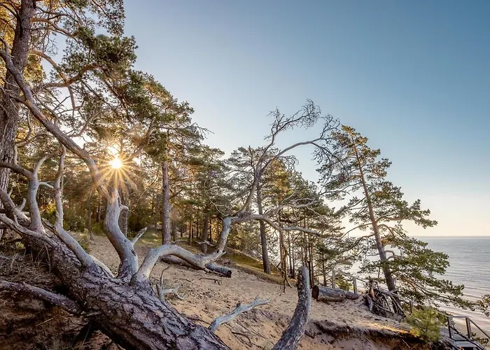 Marika Centre * Alajõe