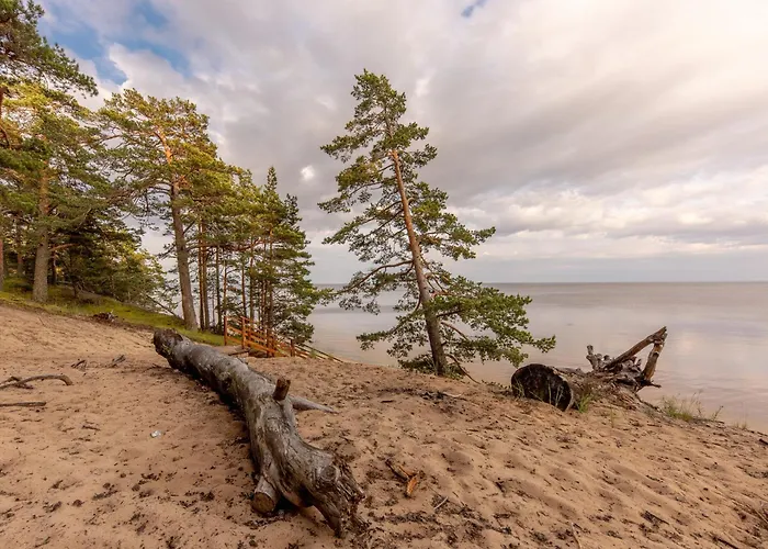 Guest house Marika Centre Alajoe